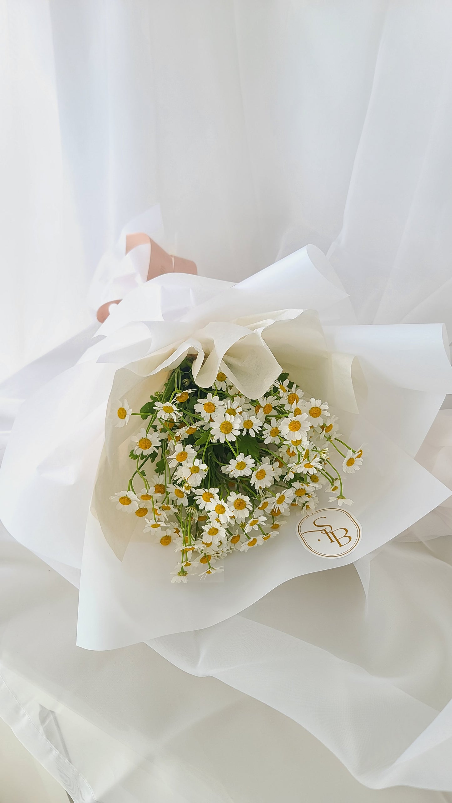 Chamomile