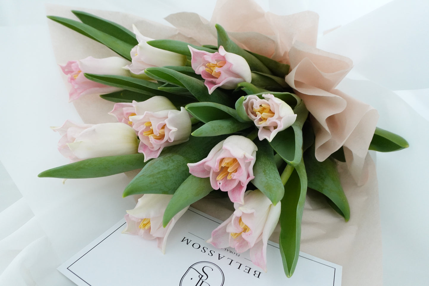 Tulip Crown Dynasty