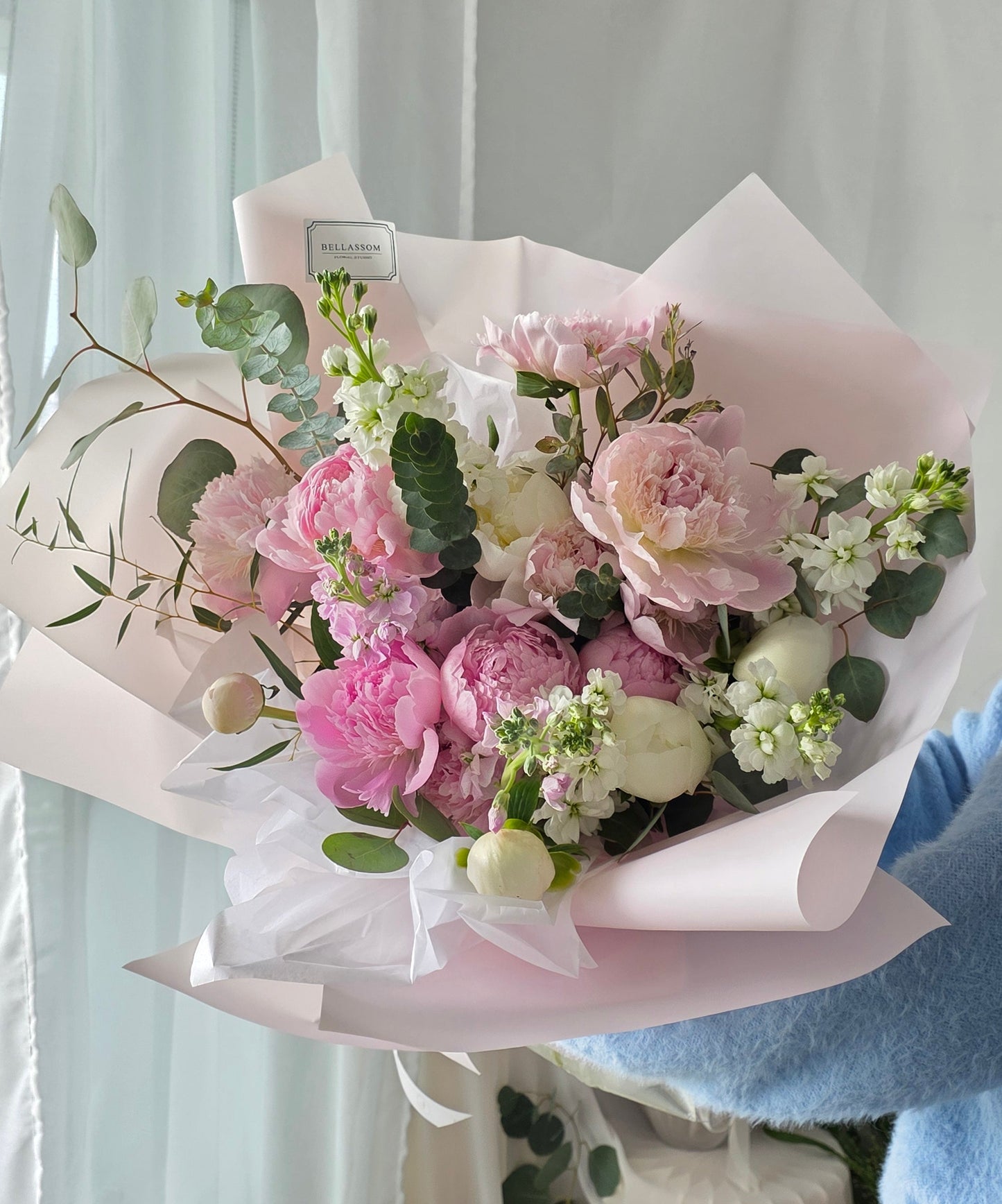 Peony Dream