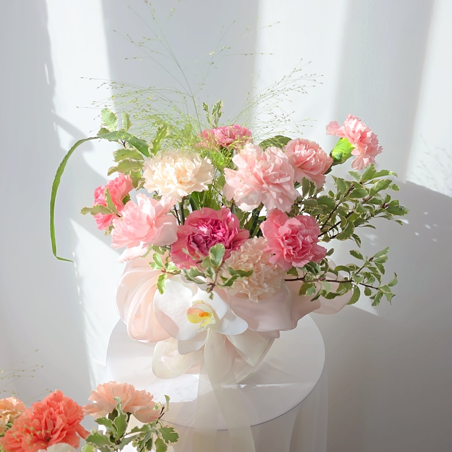 Grace in Bloom