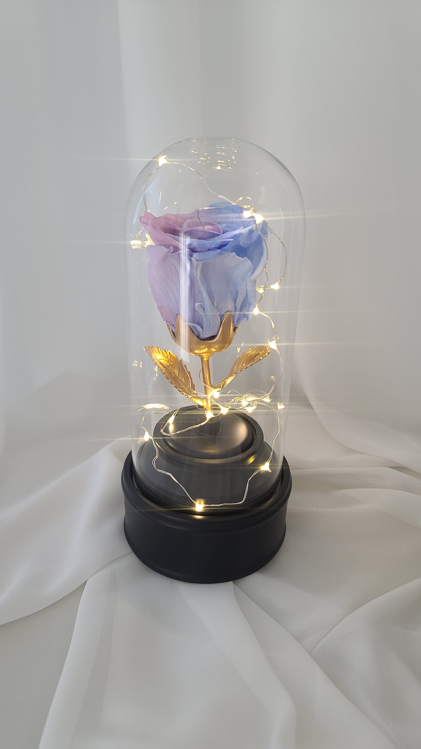 ENCHANTED ROSE MUSIC BOX