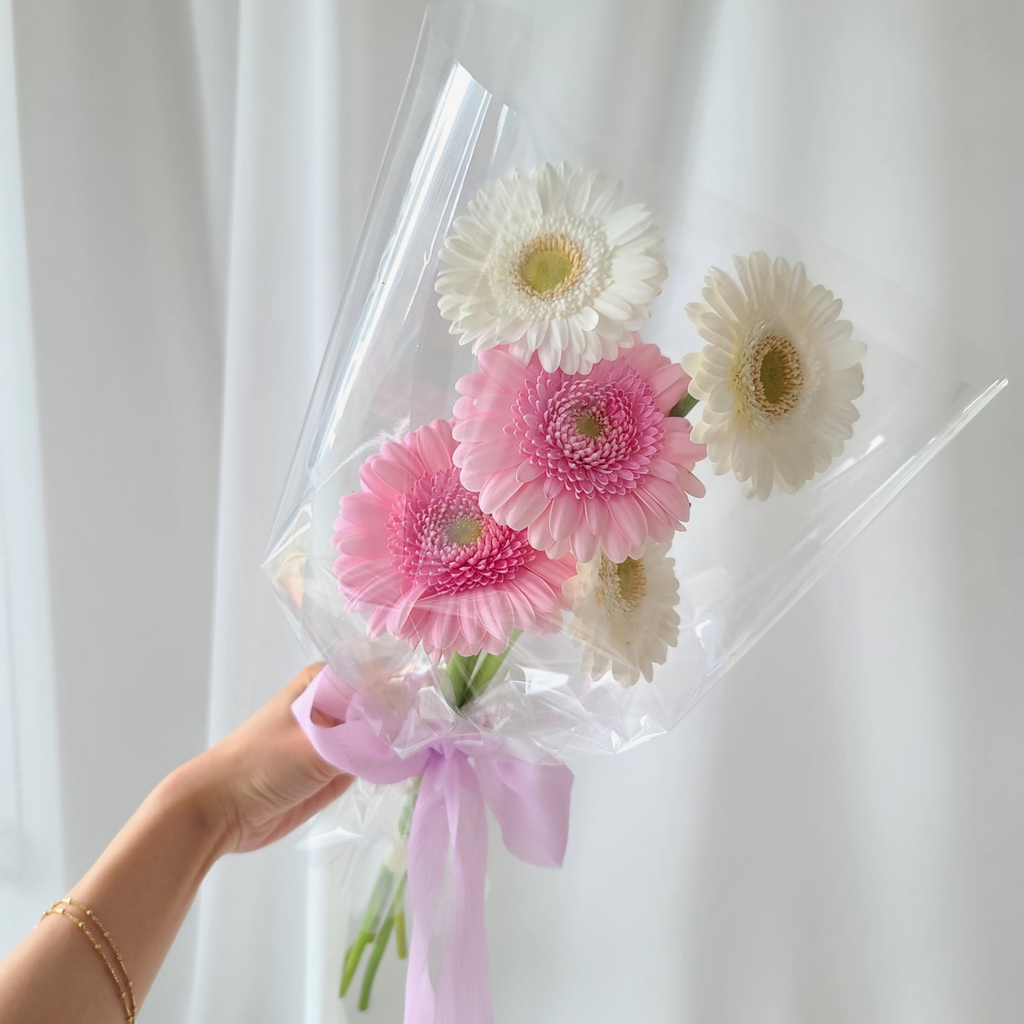 GERBERA