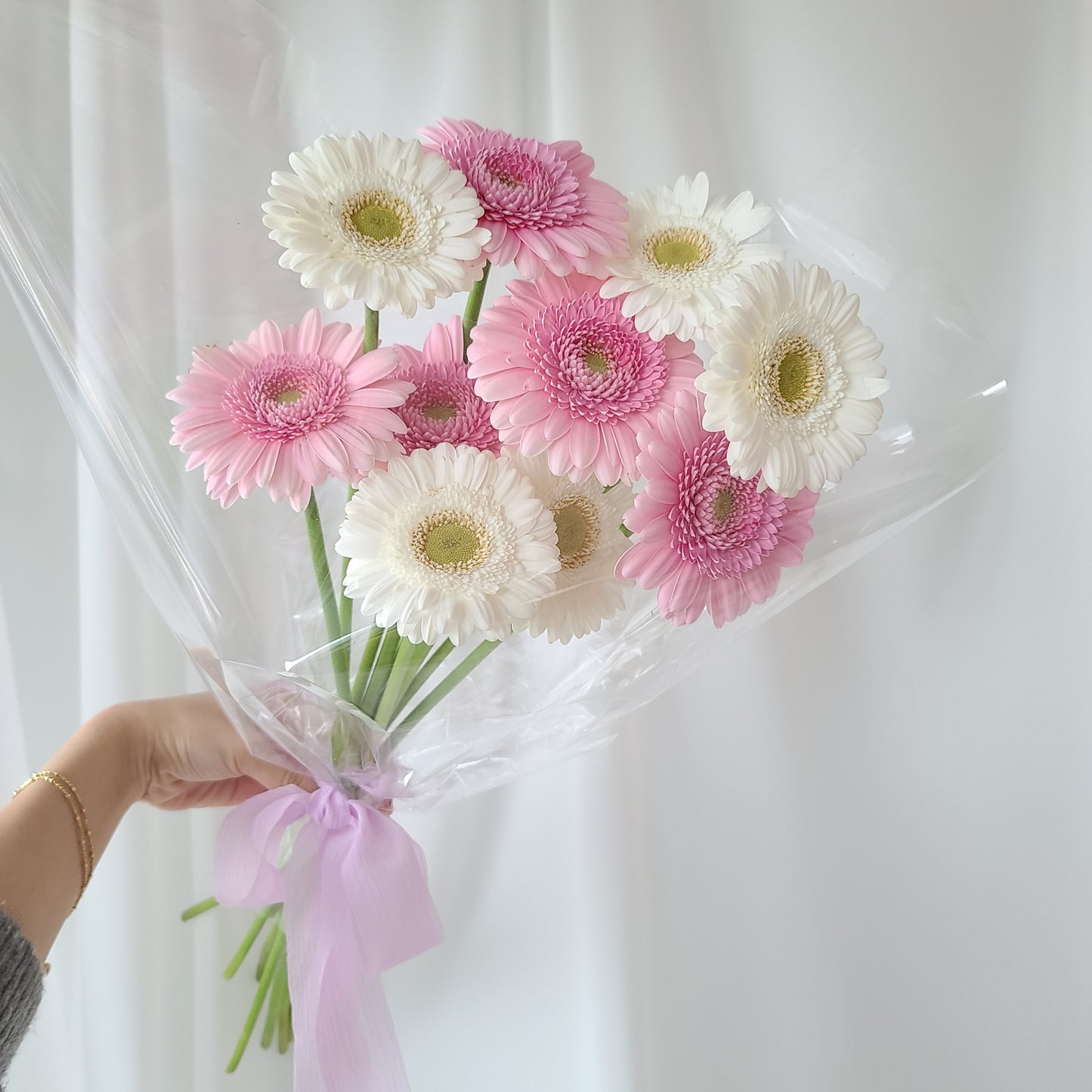 GERBERA