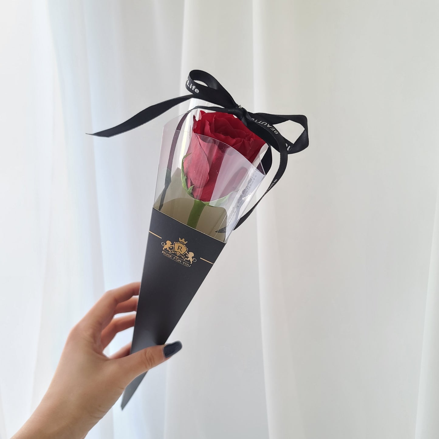 Red Single Rose-black