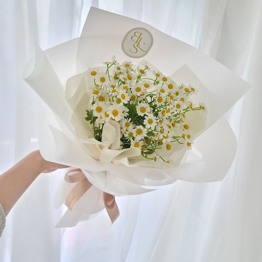 Chamomile