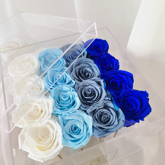 GRADIENT ROSES-preserved rose