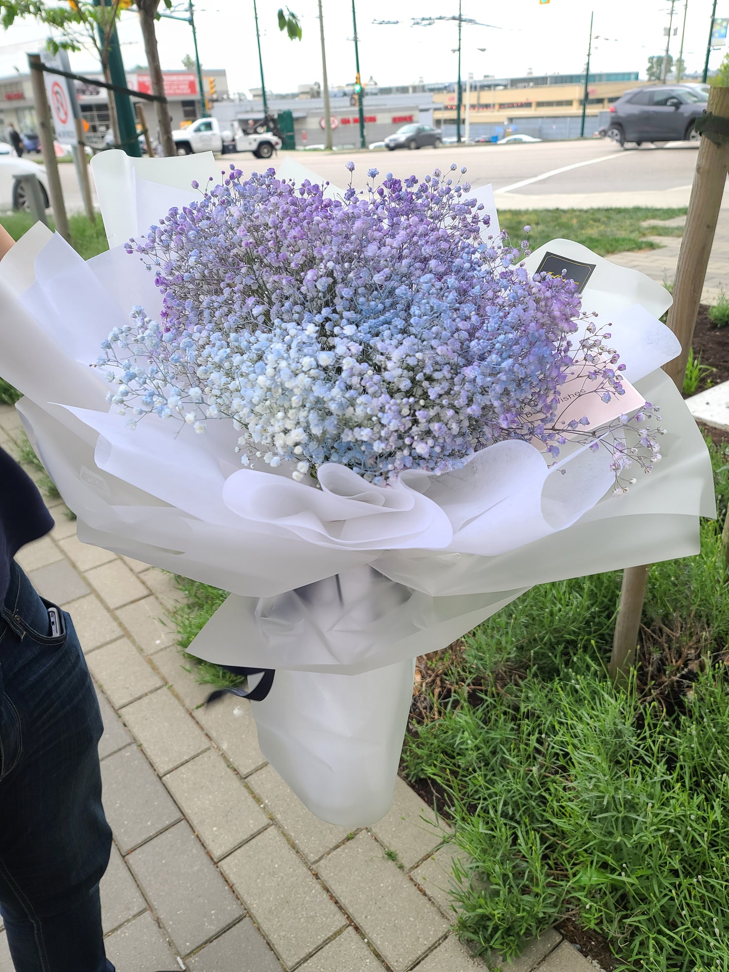 Colored Baby’s Breath arrangement as a charming Valentine’s Day or special occasion gift, delivery across Vancouver