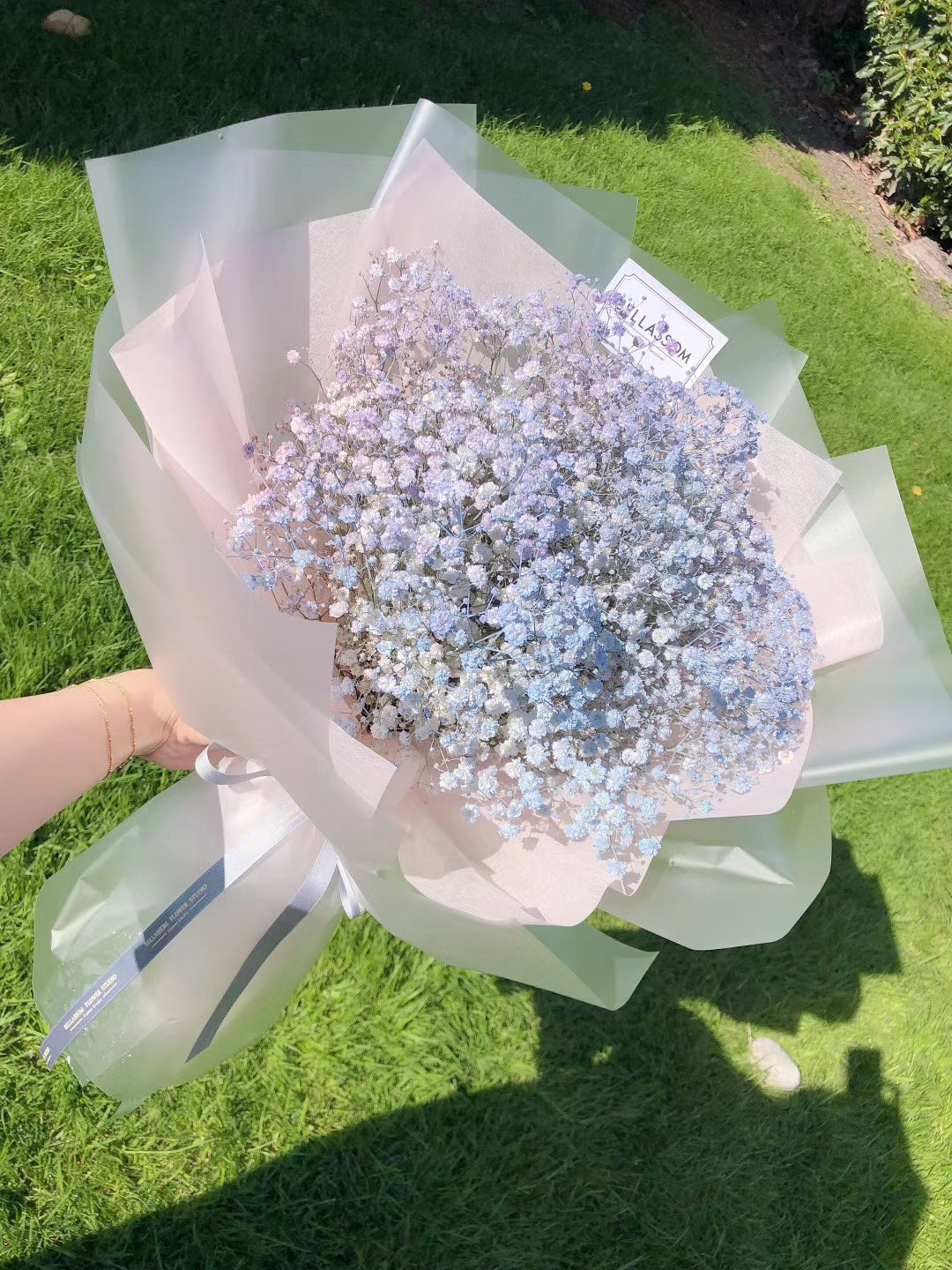 Elegant tinted Baby’s Breath bouquet for a soft and delicate gift, Vancouver delivery & pick-up from Metrotown